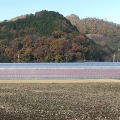 川辺いちごファーム