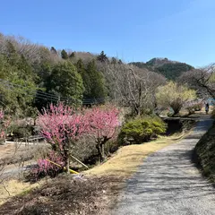 小川町の桃源郷