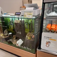 アンデリス4 岩見沢店