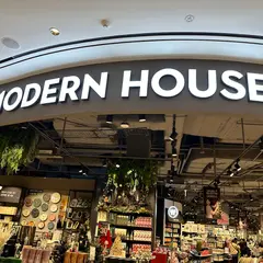 Modern House