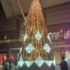 かもめ広場