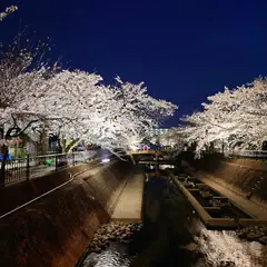 大江川緑道