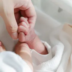 医療法人れんげ会 小川産婦人科