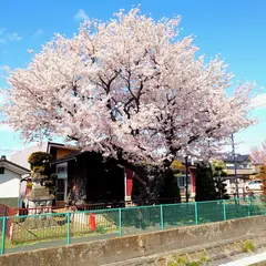 桜神社