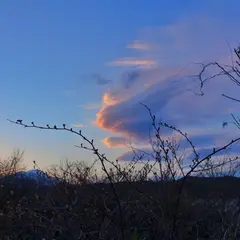 滝沢市
