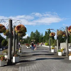 宇治市植物公園駐車場