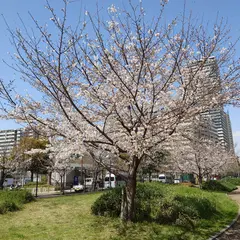 難波塩草敷津公園