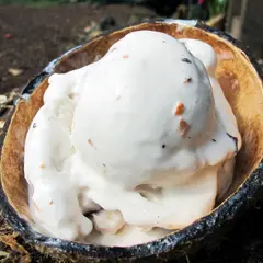 ココナッツグレン アラハ店 COCONUT GLEN`S Vegan Icecream from MAUI HAWAII