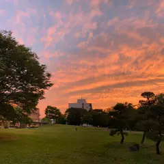 平中央公園
