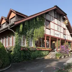 Sternen Muri