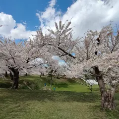 五稜郭タワー前タクシー乗り場