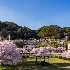 高遠スポーツ公園