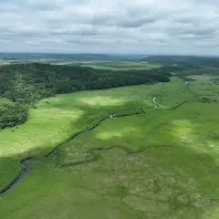 コッタロ湿原