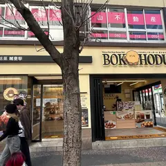 BOK HODU