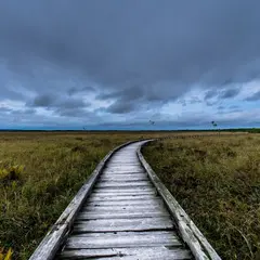 温根内木道
