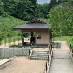 卯辰山公園四百年の森 東屋