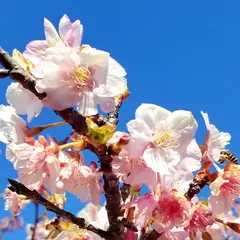 久峰総合公園