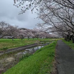 緑とスポーツのふれあい広場