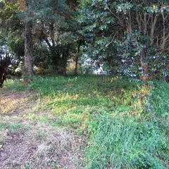 清水・西原古墳群