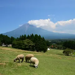 まかいの牧場