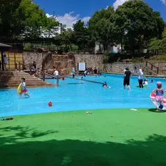ジャブジャブ池
