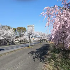 東雲公園