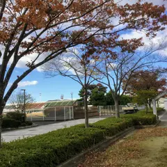 少年スポーツ公園