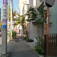 Misako & Rosen