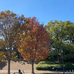 城山公園 ふれあい広場