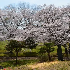 東緑地公園