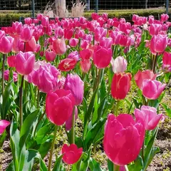 播磨科学公園都市
