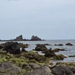 神奈川県立真鶴半島自然公園