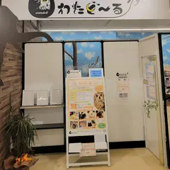 ふくろうカフェ＆エキゾチックアニマルカフェ わたど〜る イオンモール新小松店