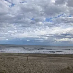 野手浜海岸