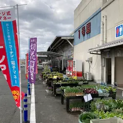 ホームセンターコーナン 寝屋川仁和寺店