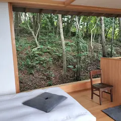 今帰仁 石蕗