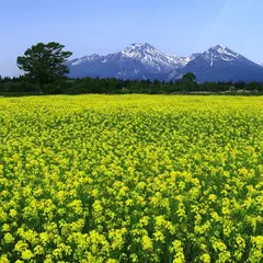 妙高山麓都市農村交流施設