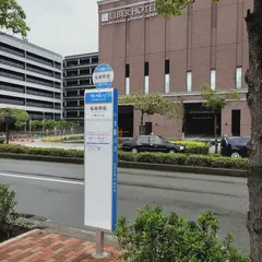 桜島駅（バス）
