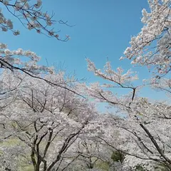 加護坊山