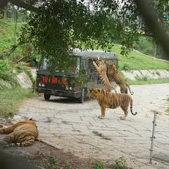 深圳野生動物園