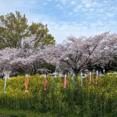 茂林寺公園