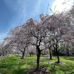 日本花の会結城農場