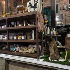 Sari Botanicals Spa