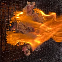 鶏の炭火焼き のぞみ