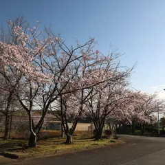 香芝市立香芝西中学校