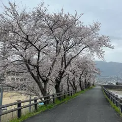 御所市立御所中学校