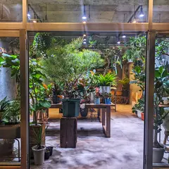 A-plants(エープランツ)神戸店