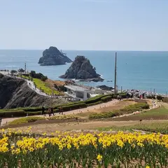 五六島 日の出公園