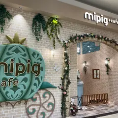 mipig cafe イオンモール浜松志都呂店【マイクロブタカフェ】