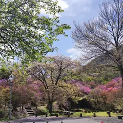天白公園